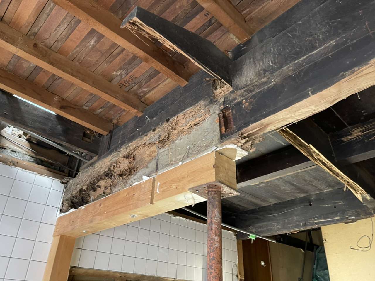 京都にて白アリ被害のある梁を入れ替え